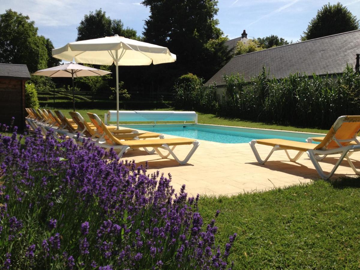 Manoir Du Parc (Adults Only) Hotell Amboise Exteriör bild