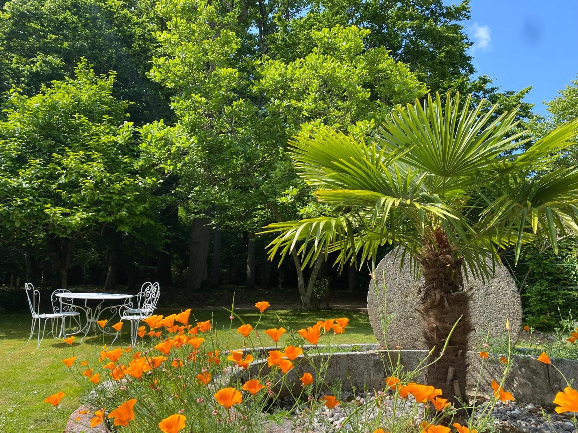 Manoir Du Parc (Adults Only) Hotell Amboise Exteriör bild