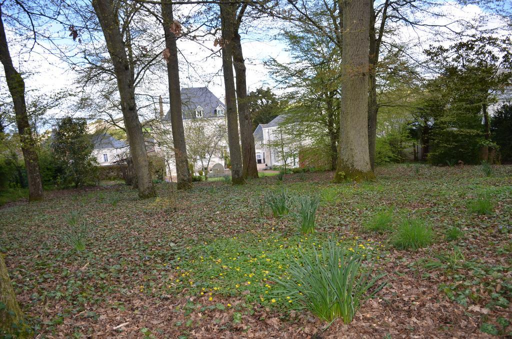 Manoir Du Parc (Adults Only) Hotell Amboise Exteriör bild
