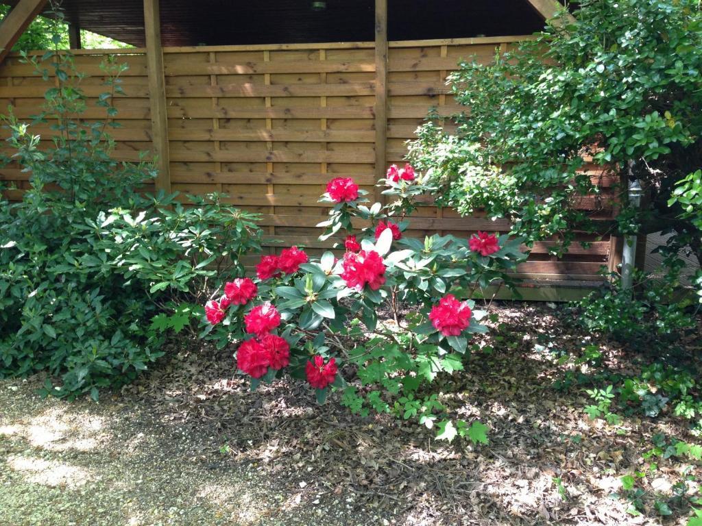 Manoir Du Parc (Adults Only) Hotell Amboise Rum bild